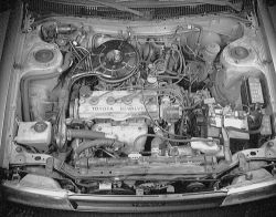 Click image to see an enlarged view