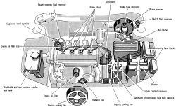 Click image to see an enlarged view