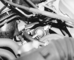 Click image to see an enlarged view