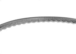 Click image to see an enlarged view