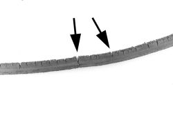 Click image to see an enlarged view