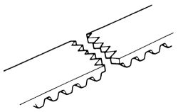 Click image to see an enlarged view