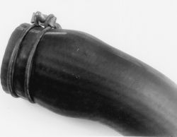 Click image to see an enlarged view