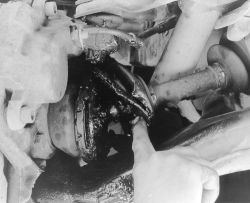 Click image to see an enlarged view