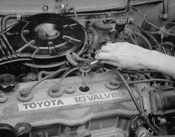 Click image to see an enlarged view