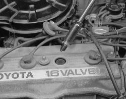 Click image to see an enlarged view