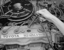 Click image to see an enlarged view