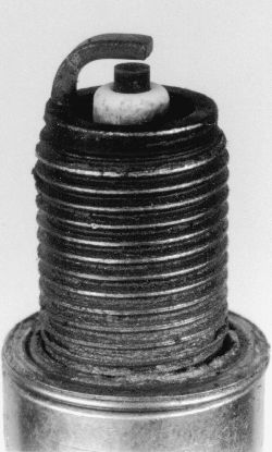 Click image to see an enlarged view