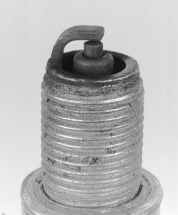 Click image to see an enlarged view