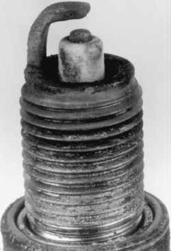 Click image to see an enlarged view