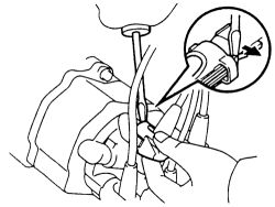 Click image to see an enlarged view