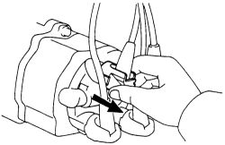 Click image to see an enlarged view