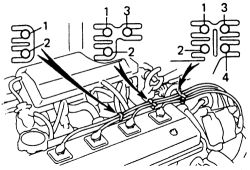 Click image to see an enlarged view