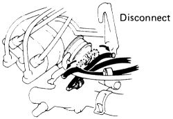 Click image to see an enlarged view