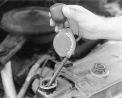 Click image to see an enlarged view