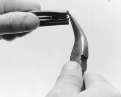 Click image to see an enlarged view