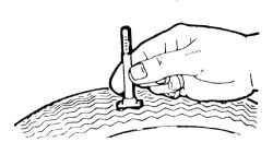 Click image to see an enlarged view