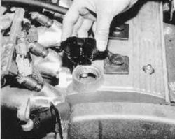 Click image to see an enlarged view