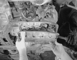 Click image to see an enlarged view