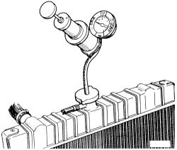 Click image to see an enlarged view