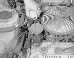 Click image to see an enlarged view