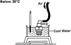 Click image to see an enlarged view