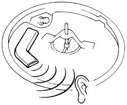 Click image to see an enlarged view