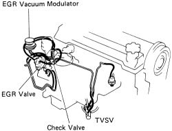 Click image to see an enlarged view