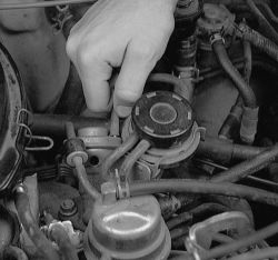 Click image to see an enlarged view