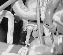 Click image to see an enlarged view