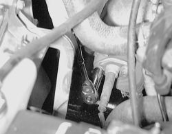 Click image to see an enlarged view