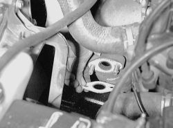 Click image to see an enlarged view