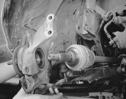 Click image to see an enlarged view