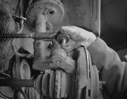 Click image to see an enlarged view