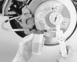 Click image to see an enlarged view