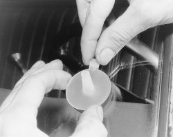 Click image to see an enlarged view