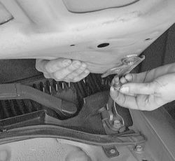 Click image to see an enlarged view