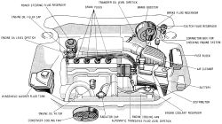 Click image to see an enlarged view