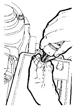 Click image to see an enlarged view