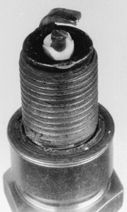 Click image to see an enlarged view