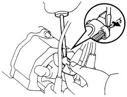 Click image to see an enlarged view