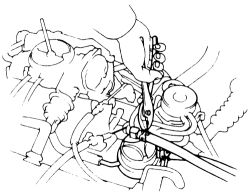 Click image to see an enlarged view