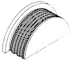 Click image to see an enlarged view
