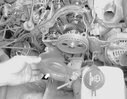 Click image to see an enlarged view