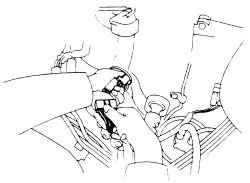 Click image to see an enlarged view
