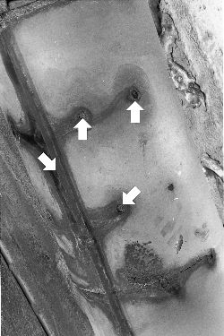 Click image to see an enlarged view