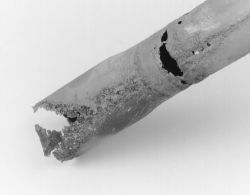 Click image to see an enlarged view