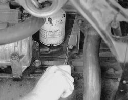 Click image to see an enlarged view