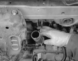 Click image to see an enlarged view