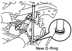 Click image to see an enlarged view